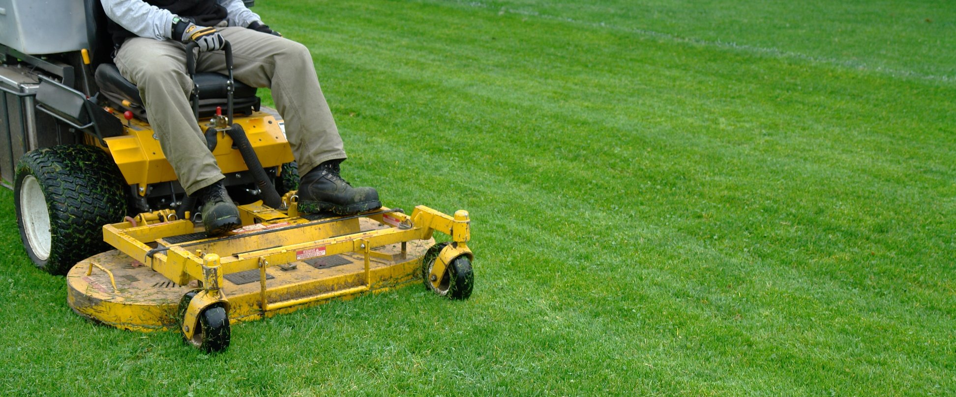 Myths About Lawn Care
