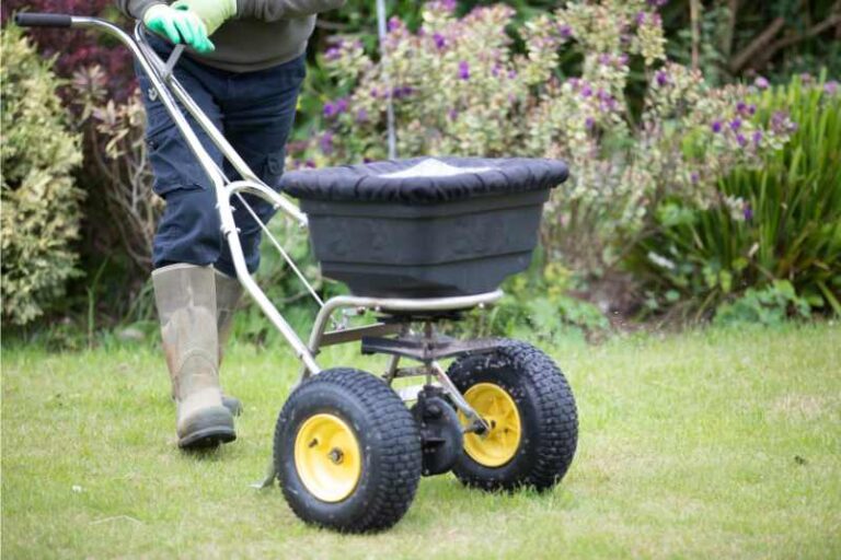 How To Weed And Feed Your Lawn