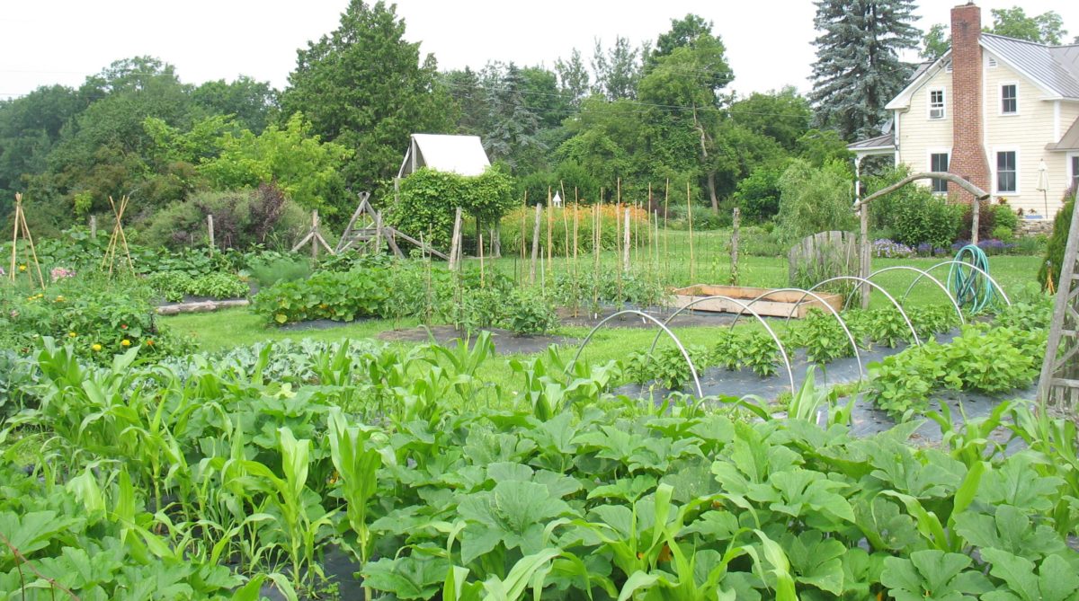 Vermont garden