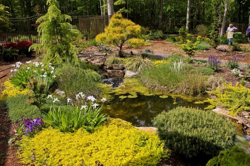 the-5-most-glamorous-gardens-in-cary-nc