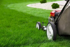 A Summer Lawn Care Guide for Columbus, Ohio Residents