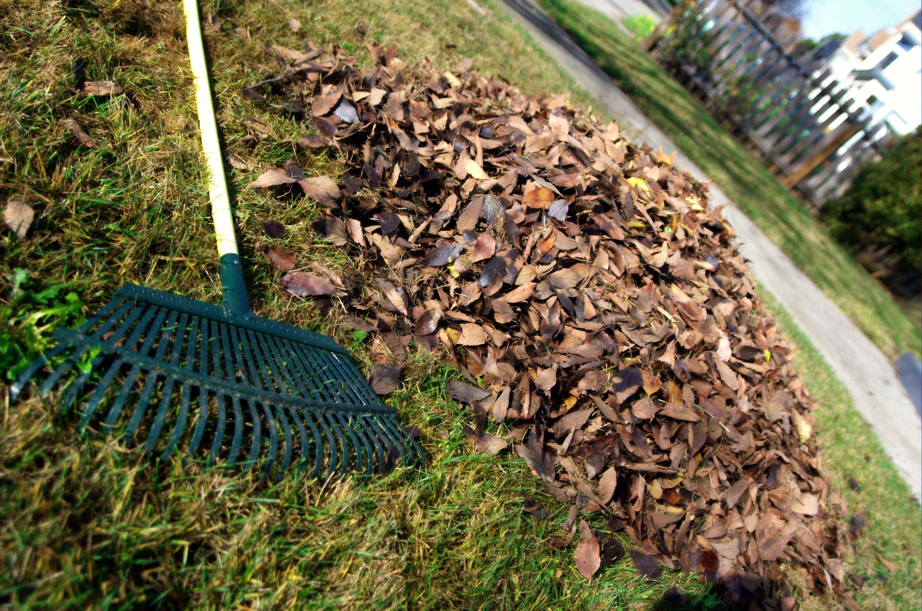 Fall Lawn Care Tips for Residents in Omaha, NE