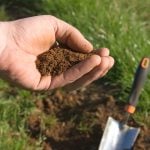 Guide to Soil Types: Pros, Cons, and Plant Suggestions