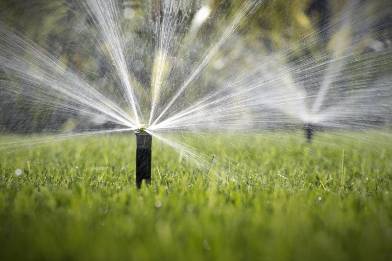 4 Summer Lawn Watering Tips for El Paso, TX Homeowners