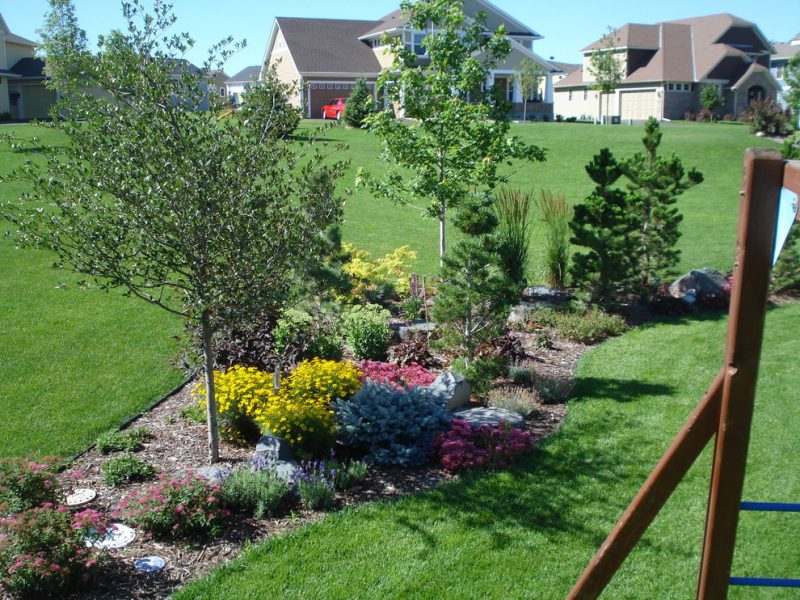 Eco-Friendly Landscaping Tips for Palm Bay, FL