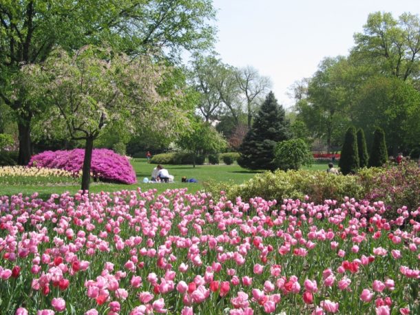 10 Glamorous Gardens in Baltimore, MD