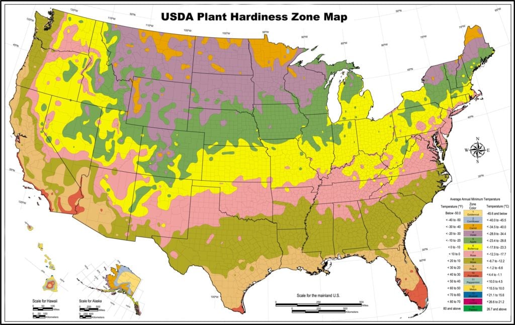 How to Map Out Your Spring Planting in Minneapolis - LawnStarter