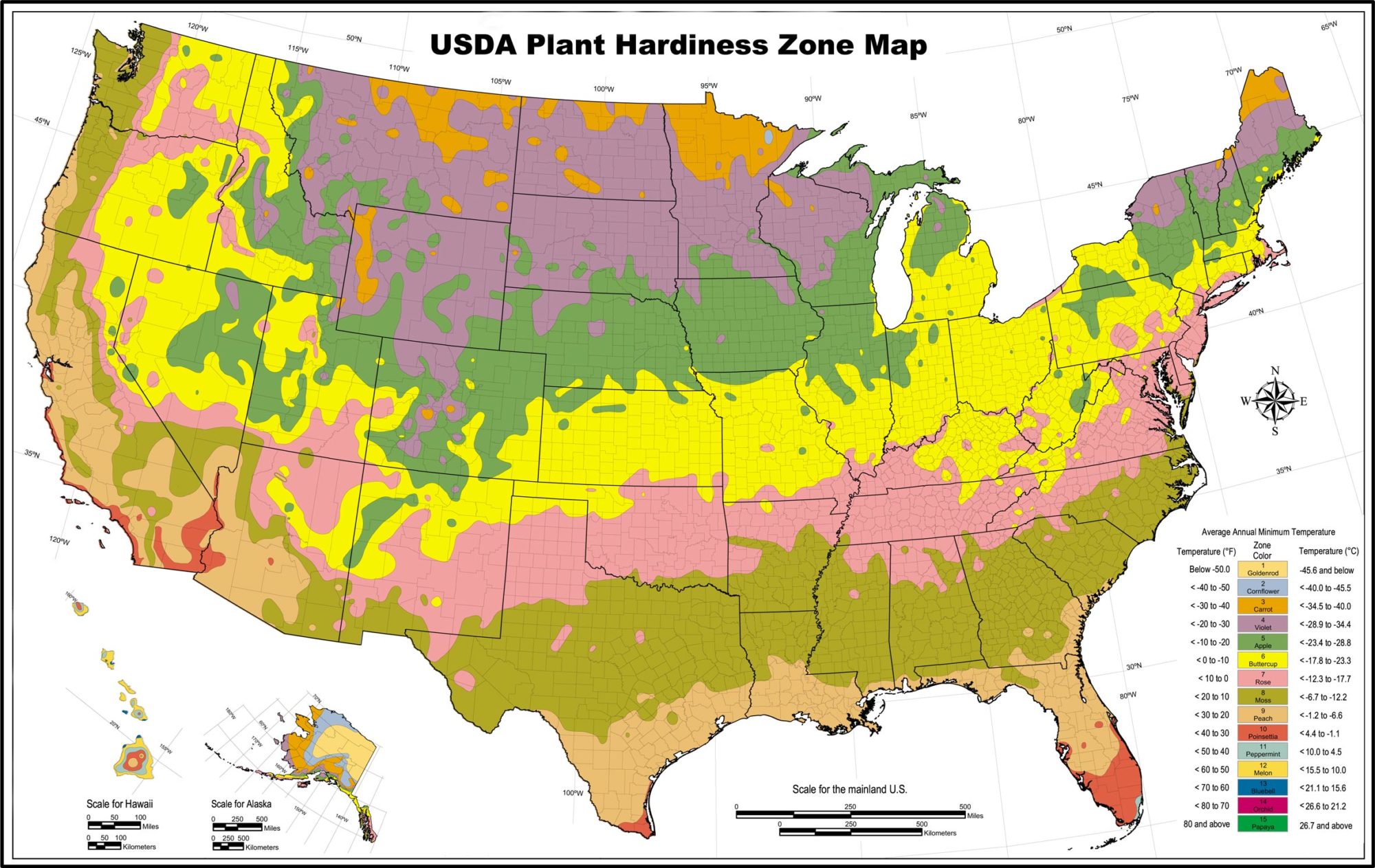 How to Map Out Your Spring Planting in Minneapolis LawnStarter