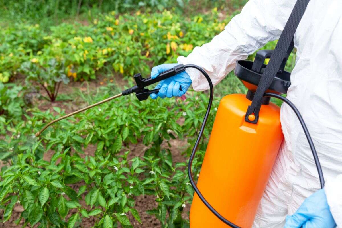 Glyphosate: Pros, Cons, and Alternatives