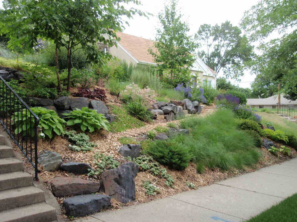 slope landscaping on a budget
