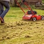 When and How to Dethatch Your Lawn