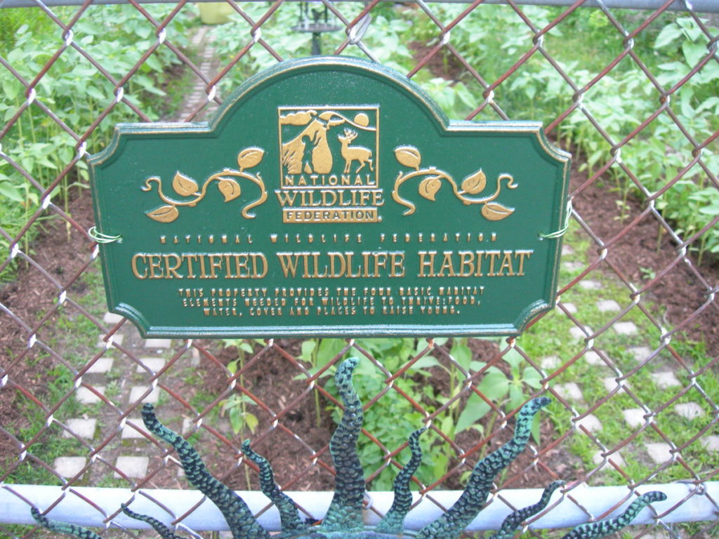 Turn Your Yard Into A Certified Wildlife Habitat - Lawnstarter