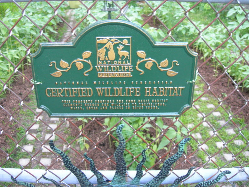 Turn Your Yard Into a Certified Wildlife Habitat - Lawnstarter