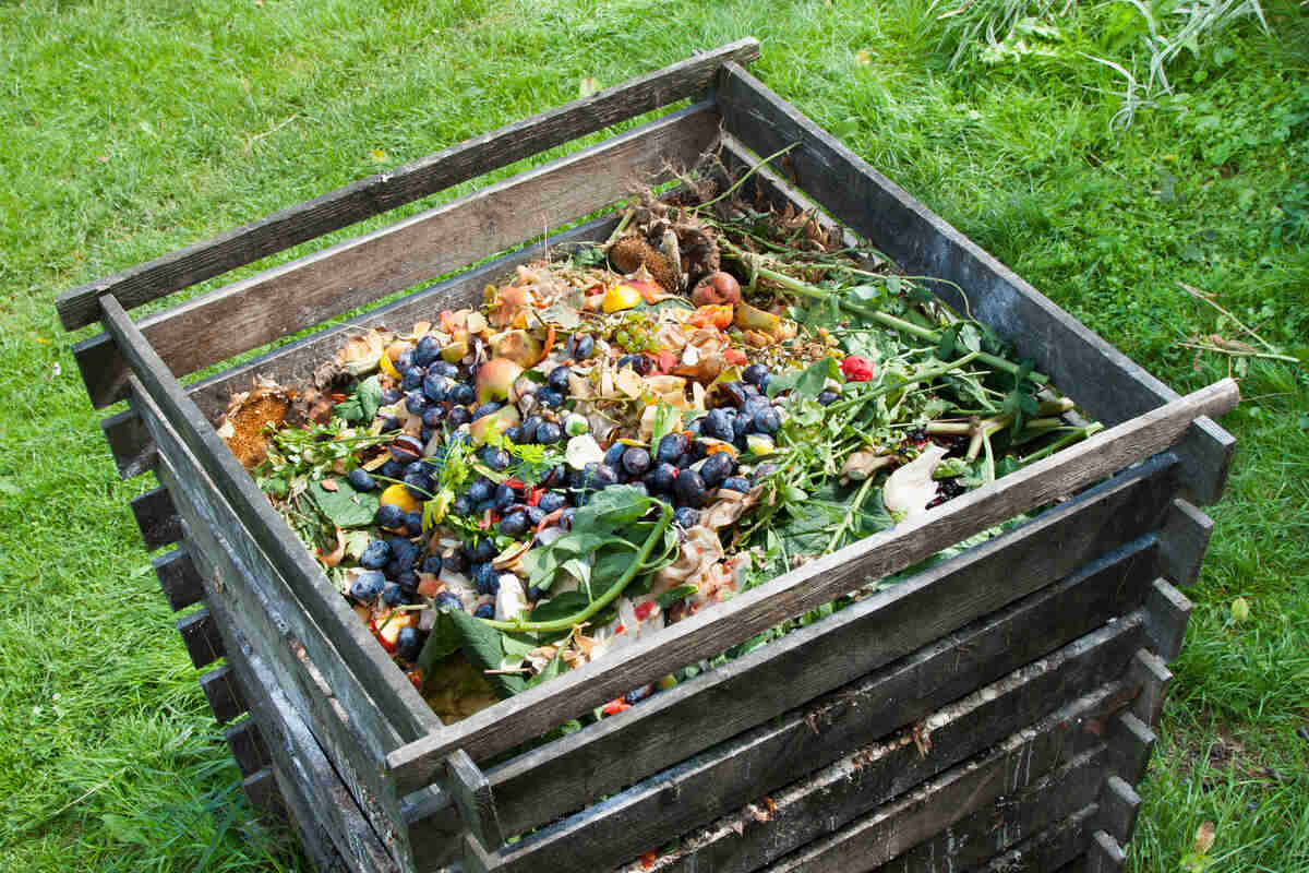 Composting 101: How to Start Composting