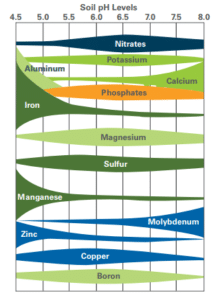 ABCs of pH: Why, How and When to Soil-Test Your Lawn