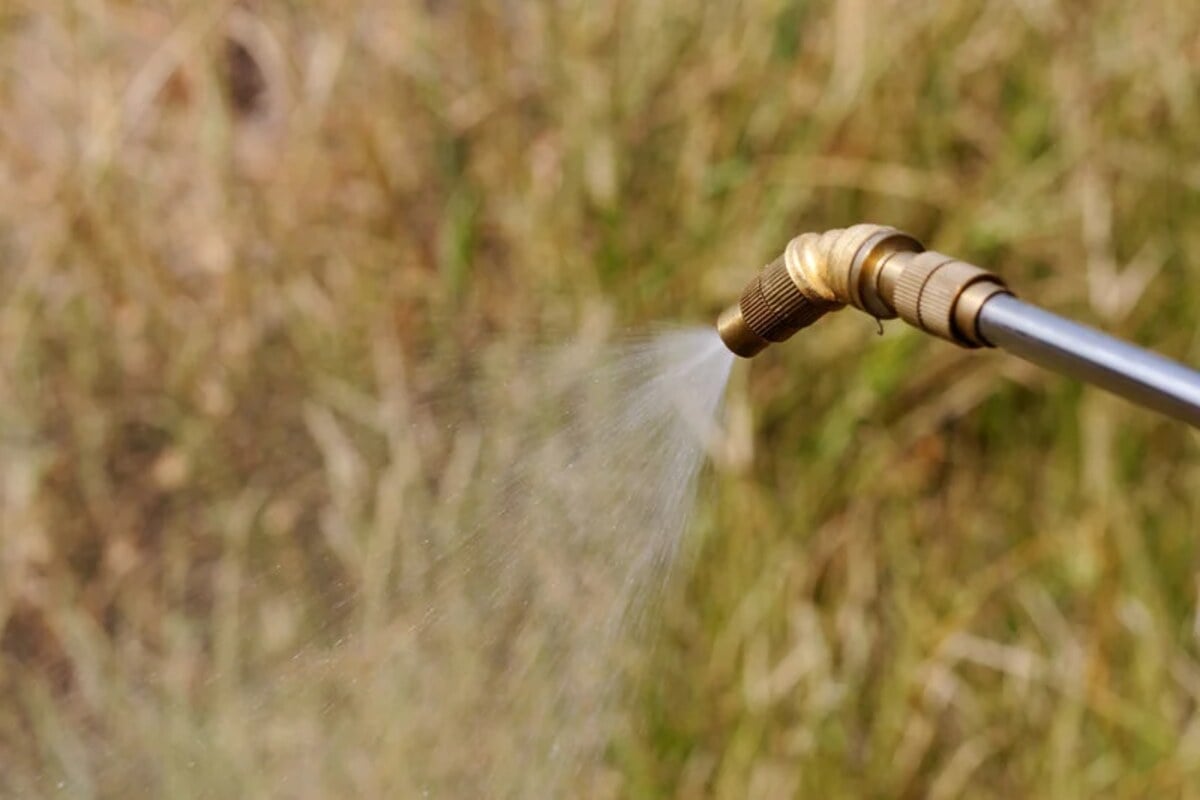 Spraying herbicide from the nozzle to grass