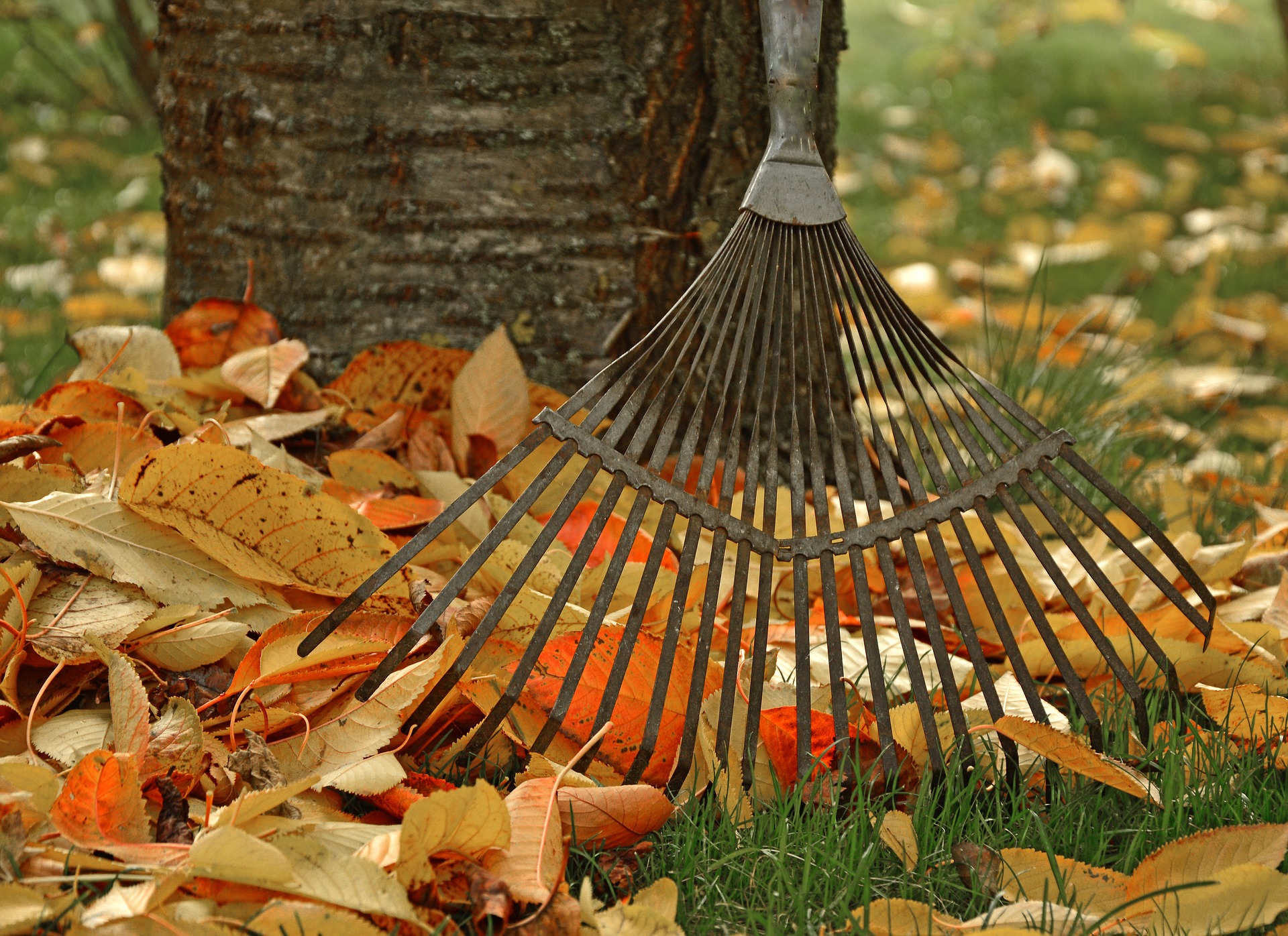 best leaf rake