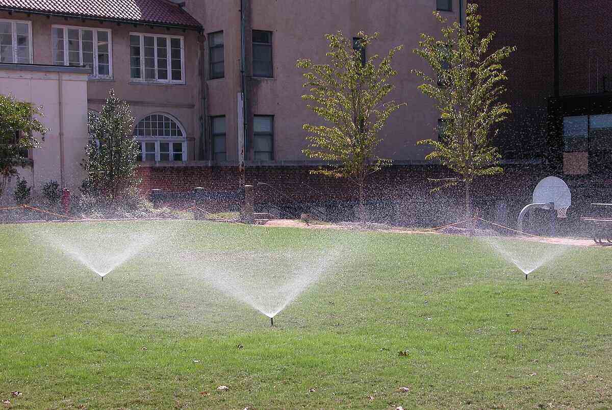 Choose the Right Sprinkler Head for Your Lawn