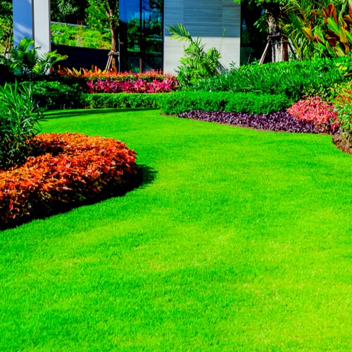 Spring Lawn Care Tips for Milwaukee, WI - Lawnstarter