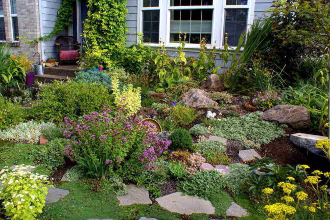 best-landscaping-rocks-for-your-yard-project-lawnstarter