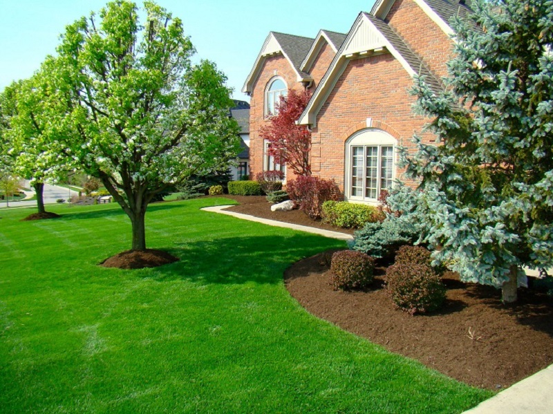 Front yard with tidy mulched landscape beds and trees