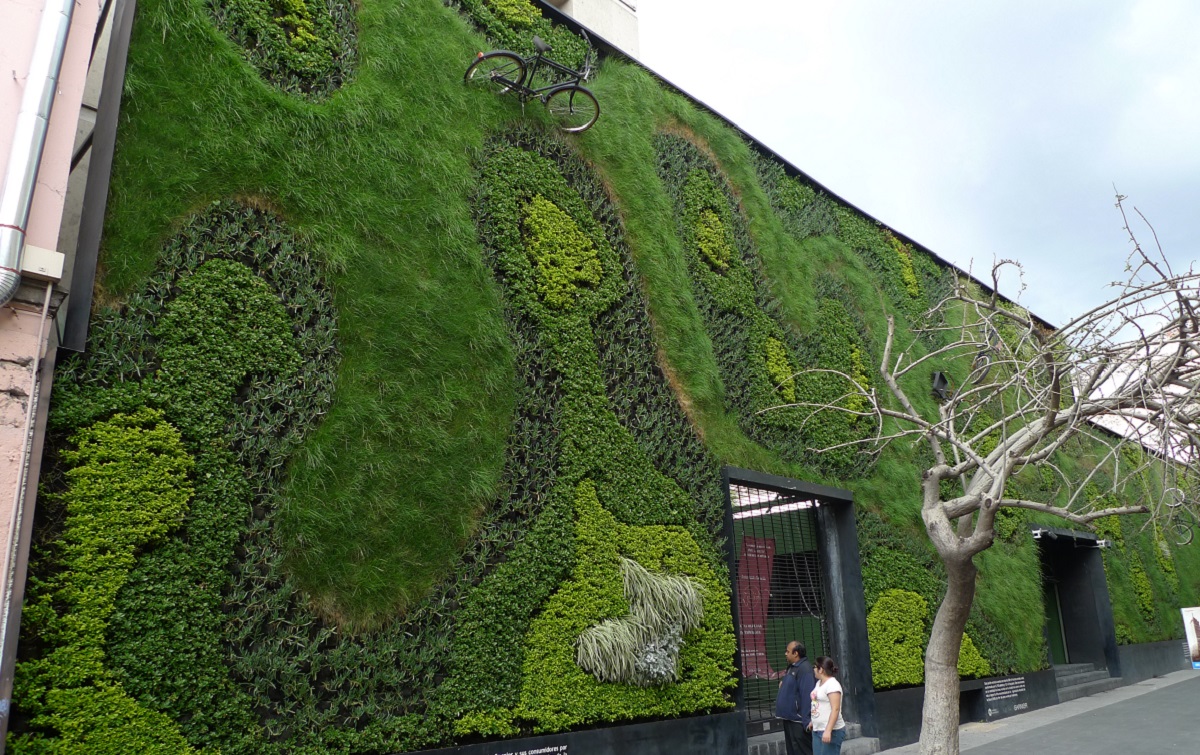 Grijpen neef Koppeling Green Walls: How to Create a Living Landscape (or Wallscape) - Lawnstarter