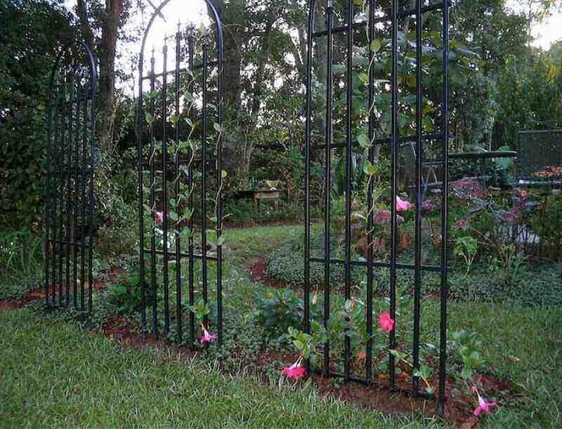 22 Best Trellis Ideas - Simple & Easy Trellis Ideas - Lawnstarter