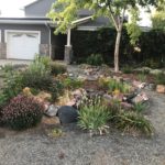 How to Xeriscape Your Boulder Yard