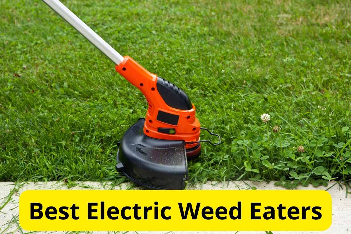 weed trimmer trimming grass with text overlay on it