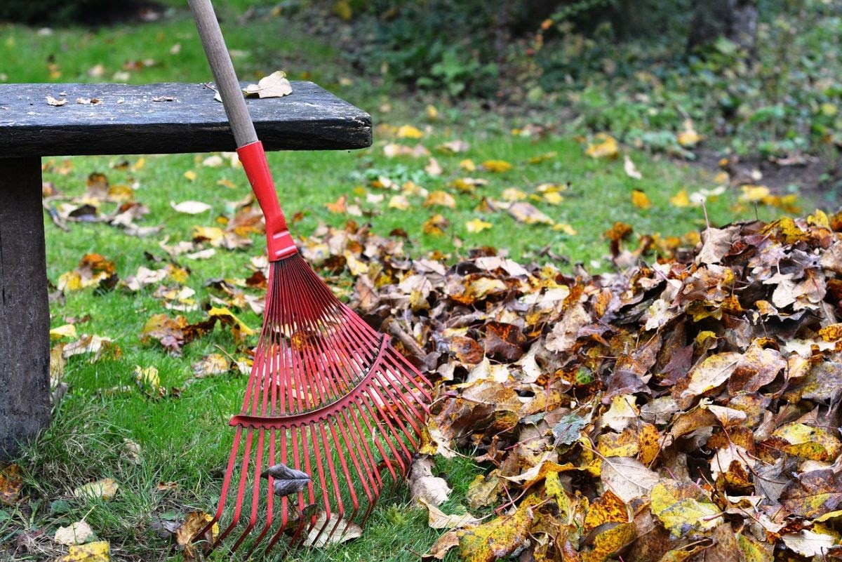 How To Bag fallen Leaves Fast and Without causing Back Pain- (A