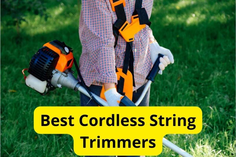 8 Best Cordless String Trimmers of 2024 [Reviews]