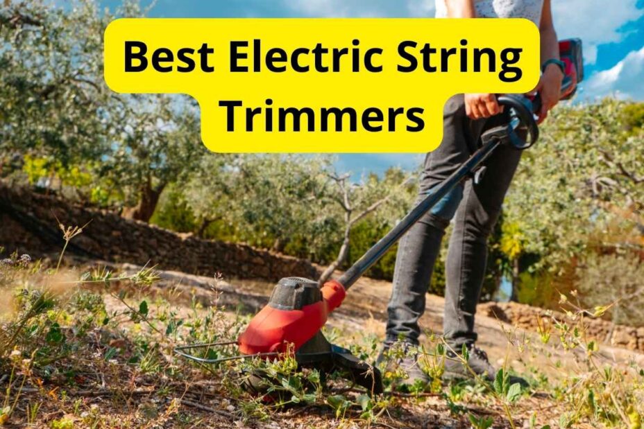 7 Best Electric String Trimmers Of 2024 Reviews 8704