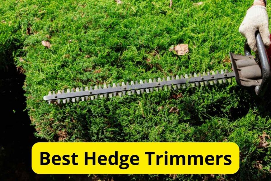 10 Best Hedge Trimmers of 2025 [Reviews]