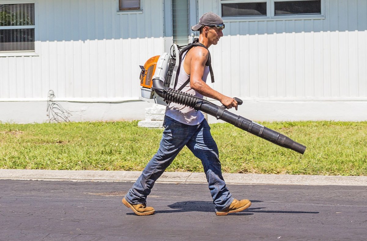 10 Best Backpack Leaf Blowers of 2022 [Reviews] Lawnstarter