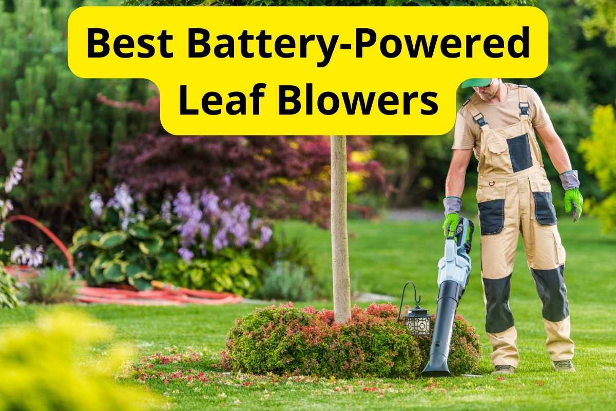 gardener working with leaf blower with text overlay on it