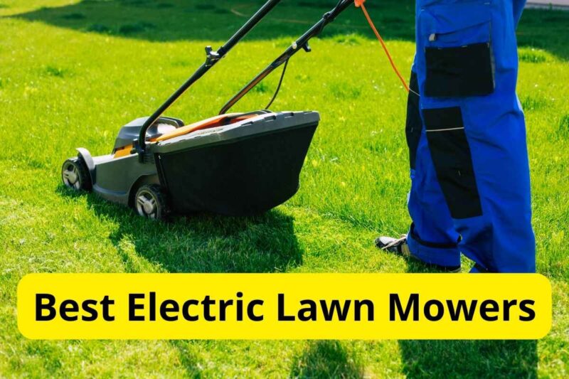 9 Best Electric Lawn Mowers of 2025 [Reviews]