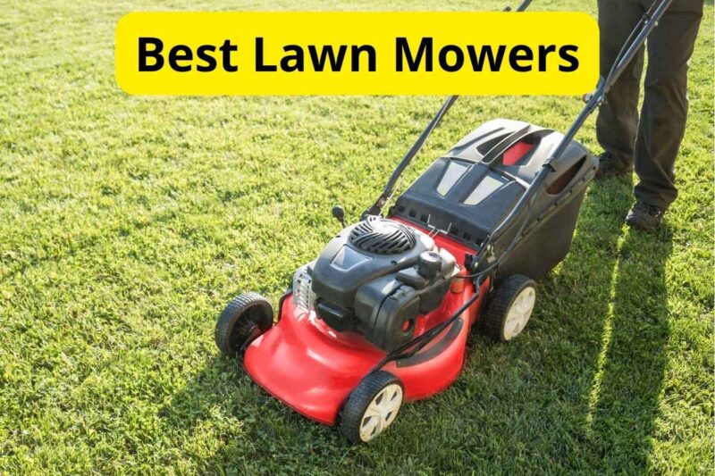 8 Best Lawn Mowers of 2024 [Reviews]