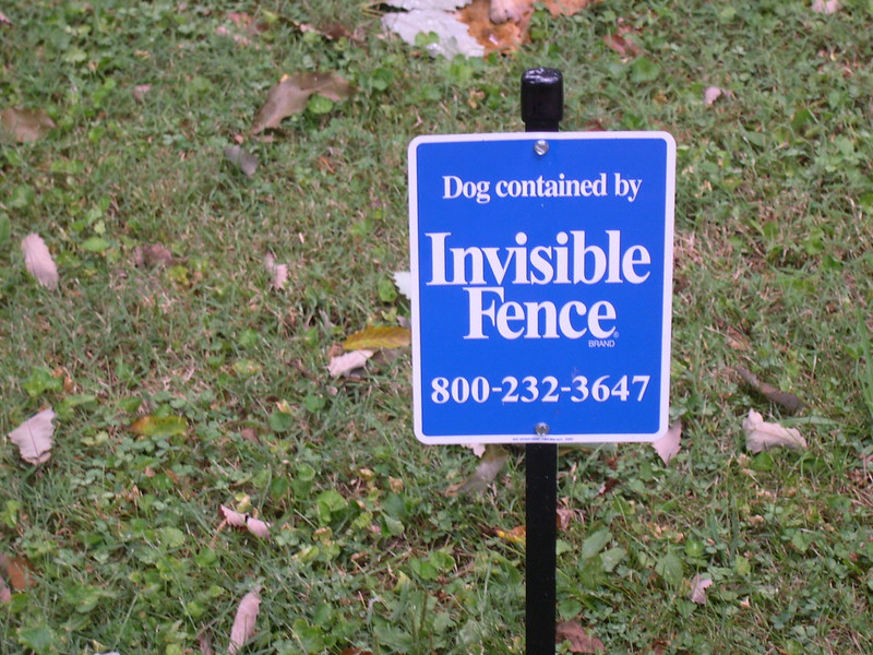 how much does an invisible dog fence cost