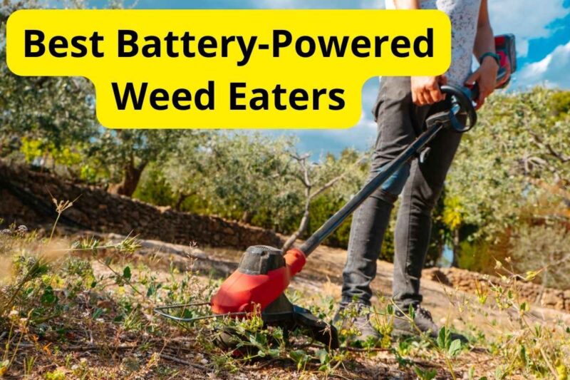 7 Best Battery-Powered Weed Eaters of 2025 [Reviews]