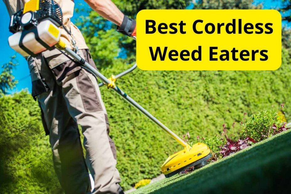 9 Best Cordless Weed Eaters of 2025 [Reviews]