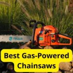9 Best Gas-Powered Chainsaws of 2024 [Reviews]
