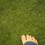 Pricing Guide: How Much Does Artificial Grass Cost?