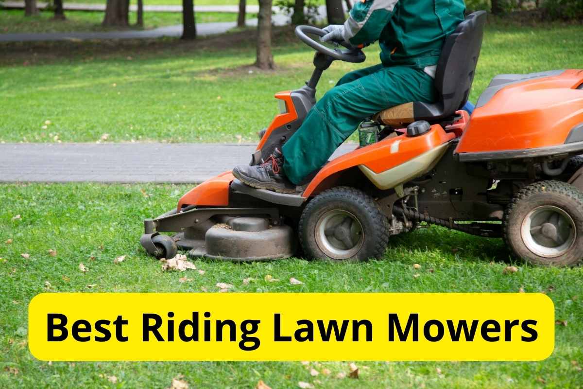 petrol lawn mower on a lawn with text overlay on it