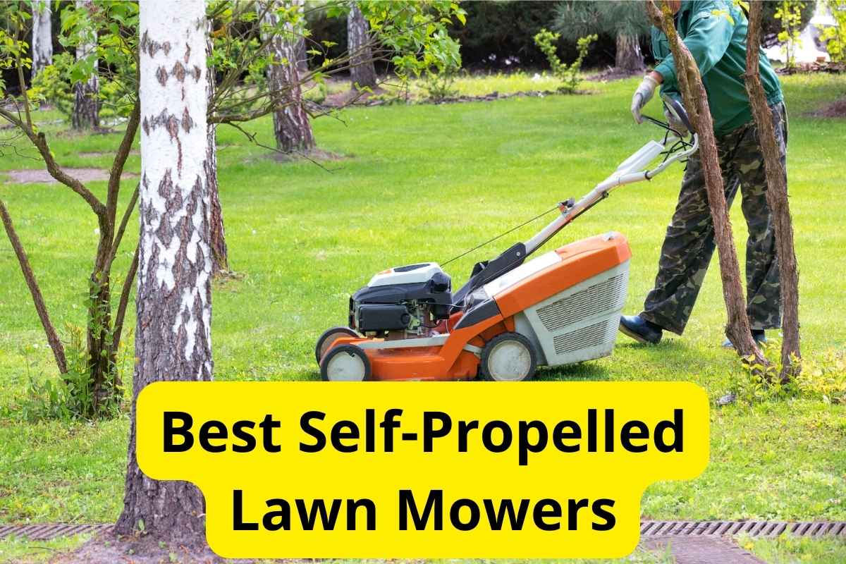 Self-Propelled Lawn Mower in a lawn with text overlay on it