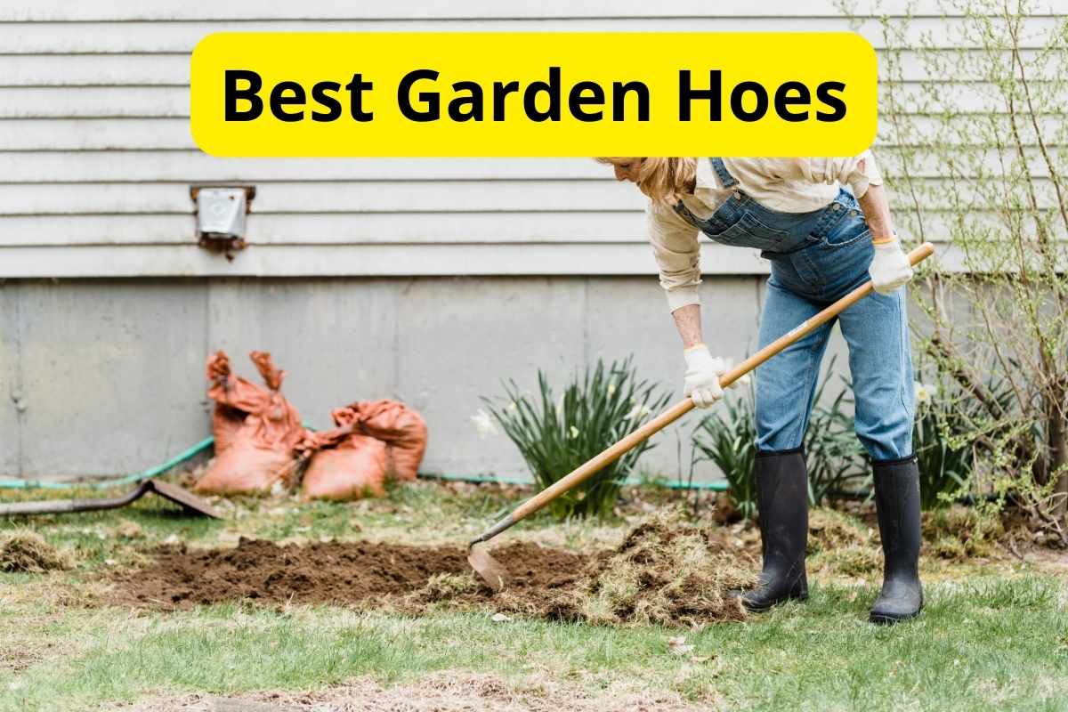 woman gardening in a lawn with text overlay on it