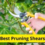 10 Best Pruning Shears of 2023 [Reviews]