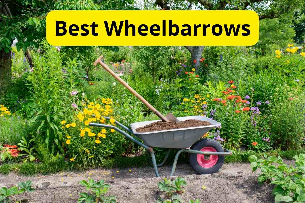 Wheelbarrow in a lawn with text overlay on it