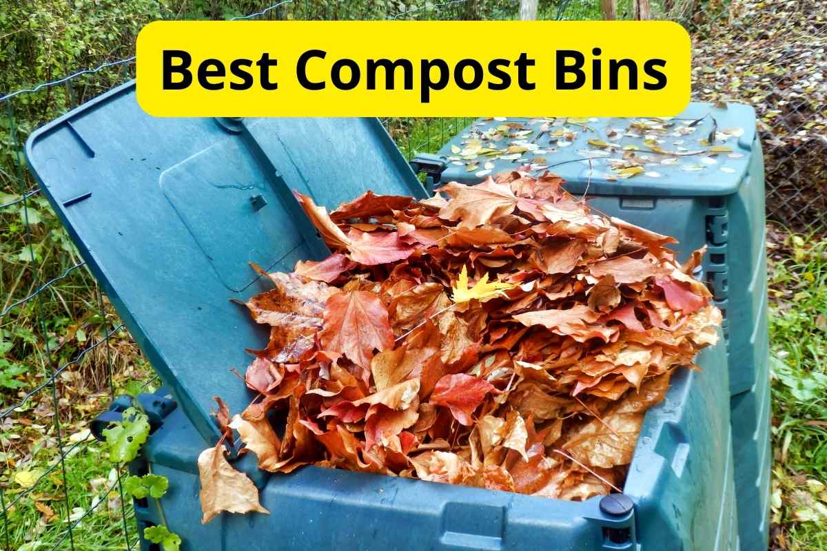 leaves in a compost bin with text overlay on it