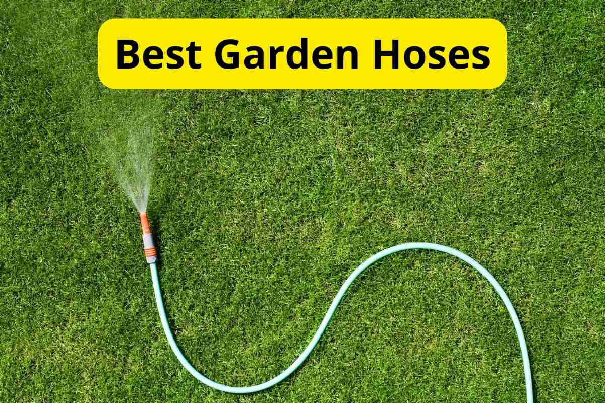 water hose in a lawn with text overlay on it