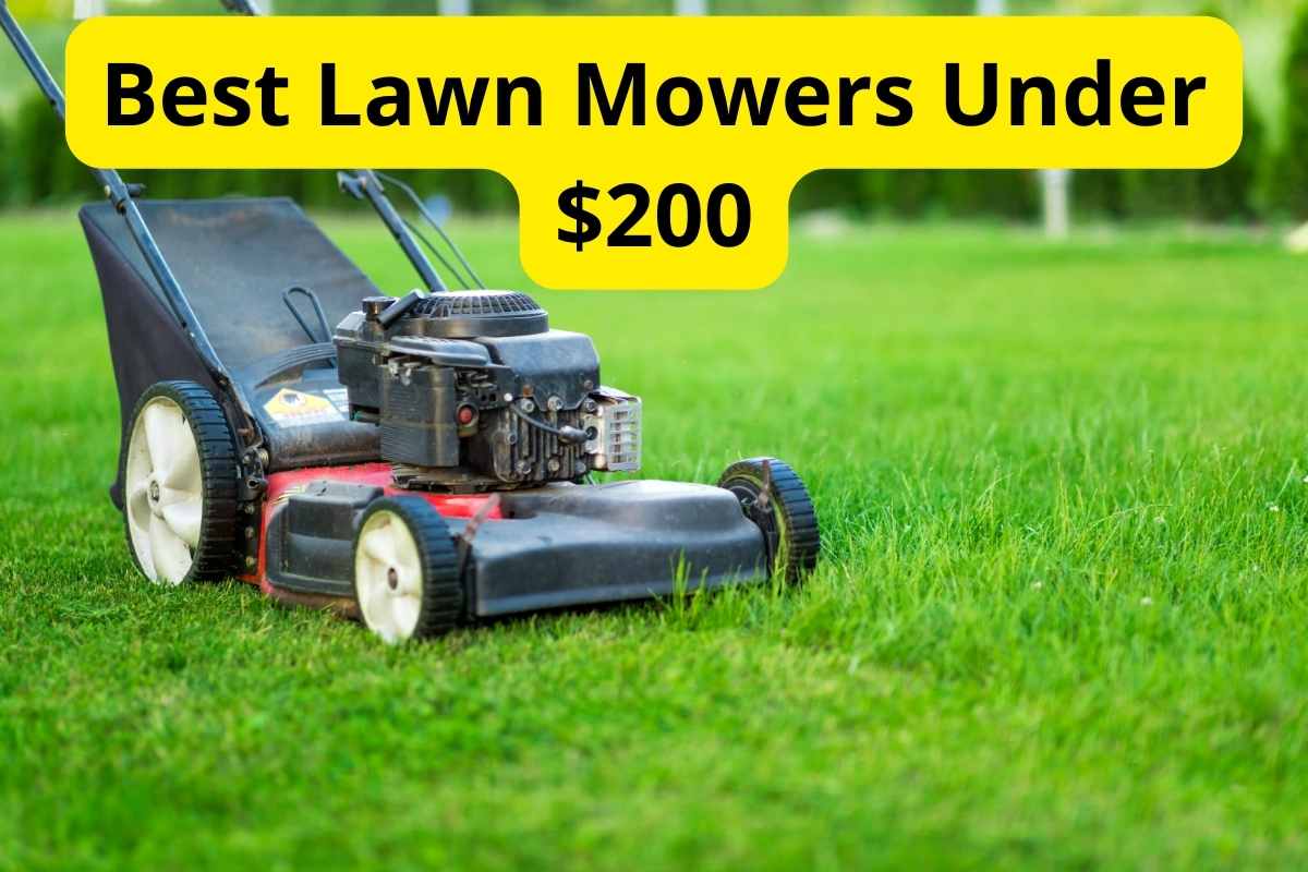 lawn mower in a lawn with text overlay on it